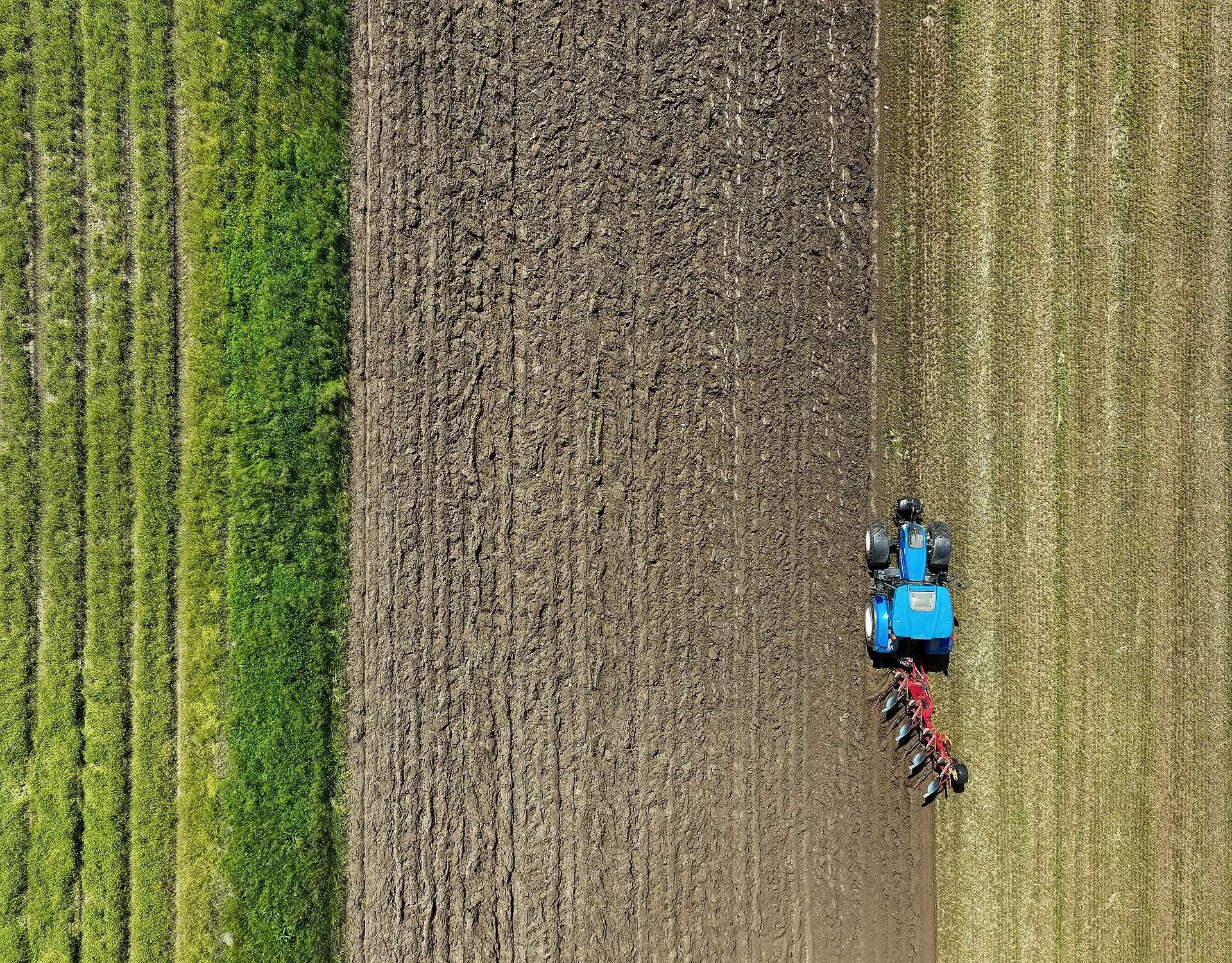 Agricultural Production